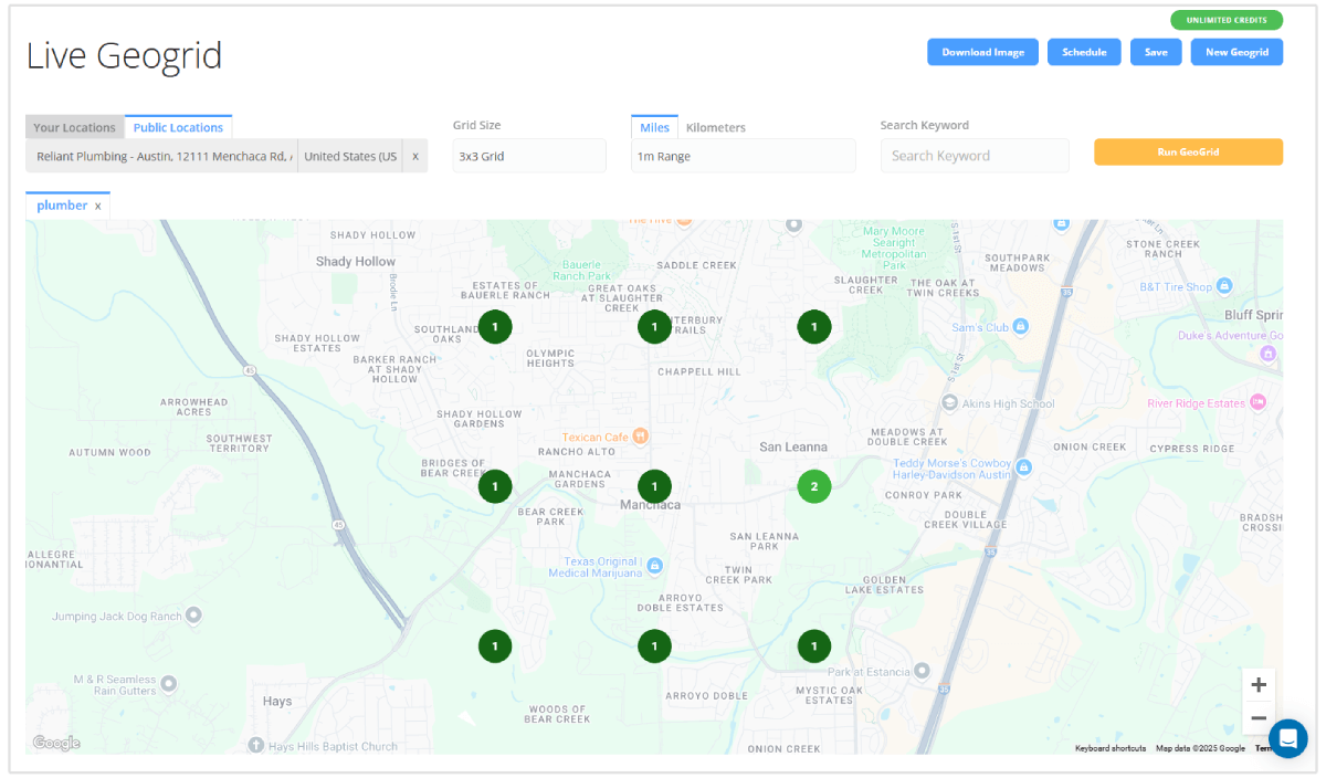 Live geogrid